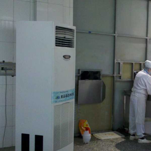 随州食品正负离子空气杀菌器